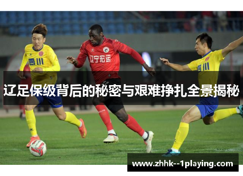 辽足保级背后的秘密与艰难挣扎全景揭秘